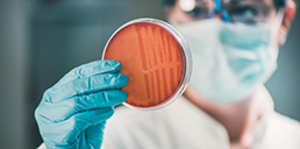 Challenges of Red Plague crisis: Management of the spread of superbugs