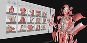 How to Learn Virtually ?