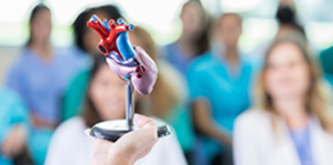 Medical Internship Journey