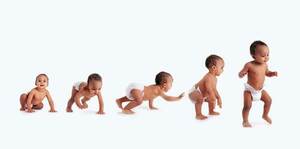 Developmental Milestone