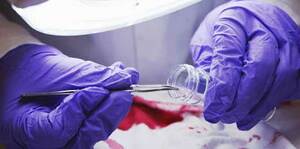 Introduction To Forensic Medicine & Forensic Toxicology