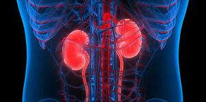 Nephrology MCQ