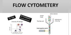 Flow cytometry
