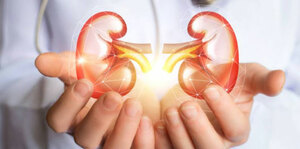 Acute Renal Failure: This is What Pediatric Nephrologists Do