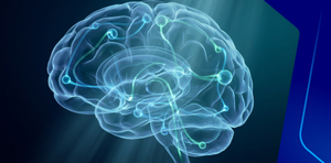 Learning disabilities screening