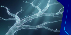 Developmental Surveillance