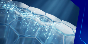  Prevention and reversal of degenerative dental diseases: Lifestyle, systemic health and aging considerations Chapter 2